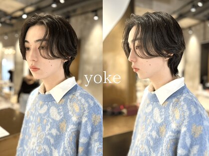 ヨーク(yoke)の写真