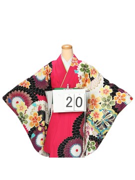 アンベリール(embellir) 二尺袖20 46,200