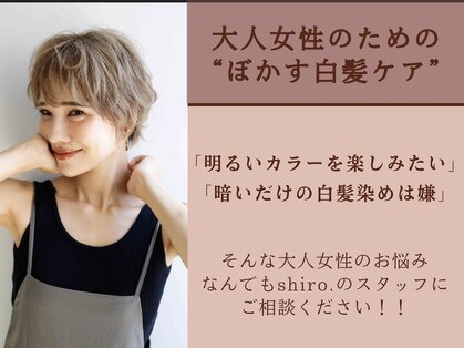 シロ(shiro.)の写真