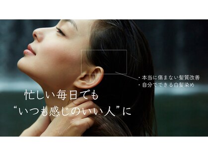 ナギ(Nagi)の写真