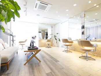 Anche【アンチェ】