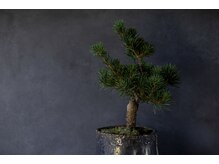 sisuiオススメ商品のご案内♪