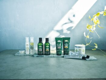 美容室 ペルル(Perle)の写真/《大人女性のヘアケア専門店》髪と頭皮へのダメージを最小限に◎あなたの理想の色味を実現♪