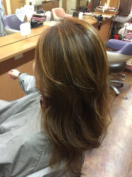 ヘアーズケアープレスト(Hair's Care Presto) シースルーカラー