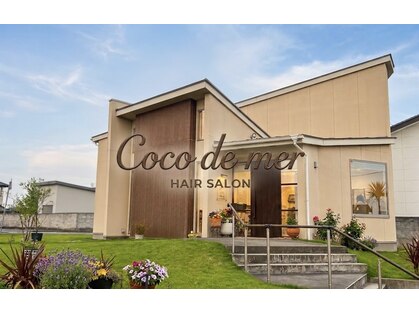 ココデメル(Coco de mer)の写真