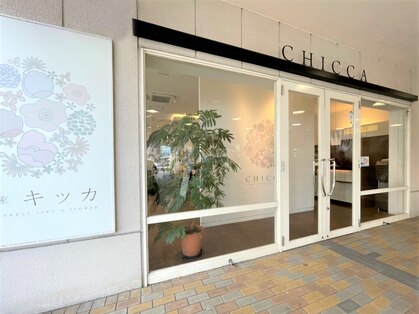 キッカ(CHICCA)の写真