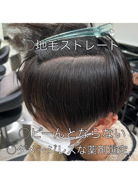 アッシュ 上尾春日店(Ash) 地毛風ストレート