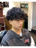 プードルパーマ