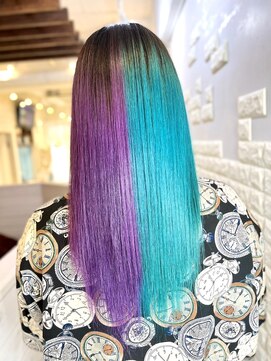 シェルティ フィエル(Shelltie Fiel) 原色ツートーン