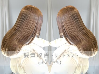 モア(moa)の写真