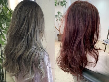 アーカイブ(archive)の写真