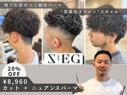 ジーク(SIEG)の写真