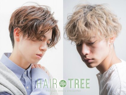 ヘアツリー(HAIR TREE)の写真