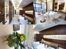コーティー エイジレス ビューティー KOTEE Ageless Beautyの雰囲気（店内の雰囲気です）