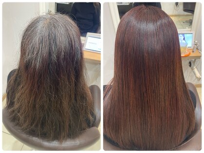 シーズンプラス(SEASON PLUS)の写真