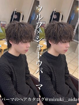 ディータ(Dita) シャドウパーマ/ウルフパーマ/大宮シャドウパーマ