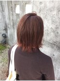 《eAs》外ハネボブ×ダブルカラー