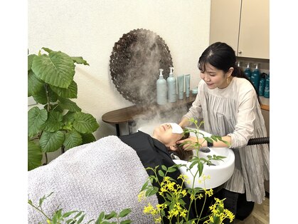 カウムディ(Kaumudi)の写真