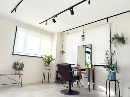 ルノ(Luno)の写真