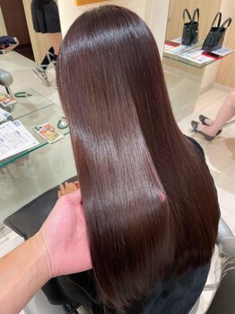 シード 成増 下赤塚店(ced.)の写真/髪質別に厳選した「ウルティア」「オラプレックス」「バイカルテ」の3種をご用意♪