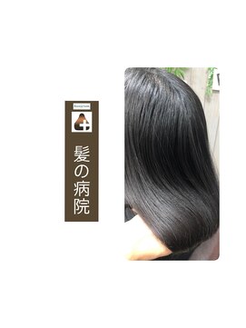 ブルーフィン シセロ(Blue Fin cicero) ツヤ髪セミ/白髪染め白髪ぼかし/暗髪黒髪/髪質改善/30代40代