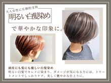 ヘアーストーリー (HAIR STORY)の雰囲気(大人女性に圧倒的支持!明るい白髪染めで華やかな印象に♪)