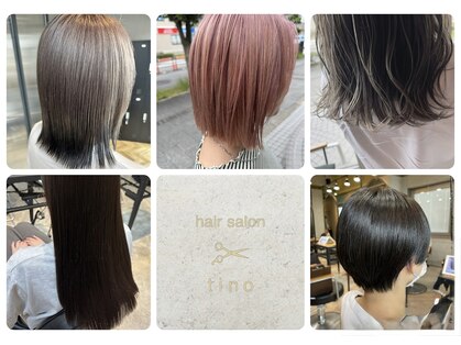 ティノ(tino)の写真