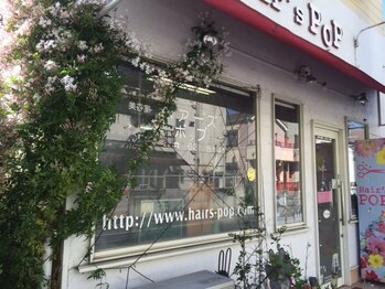 ヘアーズ　ポップ