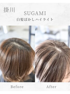 スガミ(SUGAMI) 白髪ぼかしハイライト/脱白髪染め