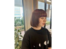 ラミン(LAMIN)