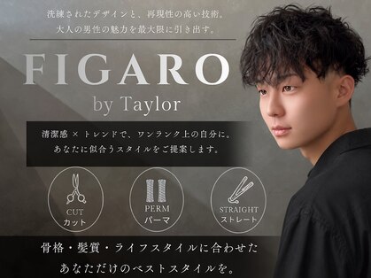 フィガロ バイ テイラー(FIGARO by Taylor)の写真