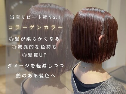 リブ(lib)の写真