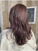ピンクラベンダー