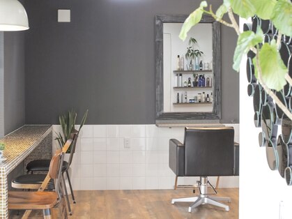 オーブ(Orb)の写真