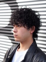 サン(3)&nbsp;プードルパーマ　ウルフパーマ　メンズウルフ　スパイラル　2