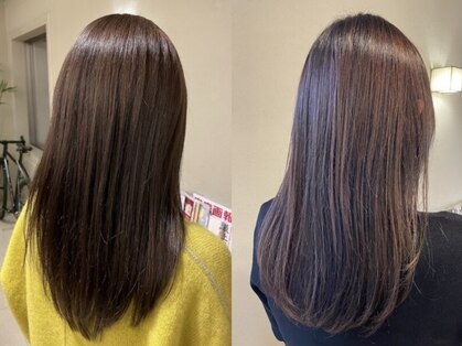 ケストラ(KESTRA)の写真