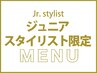 【Jr.Stylist限定】毛先カット＋インナーカラー+カラー＋髪質改善 ¥11000