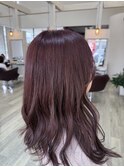 ピンクラベンダー