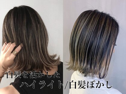 ティモーネ(Timone)の写真