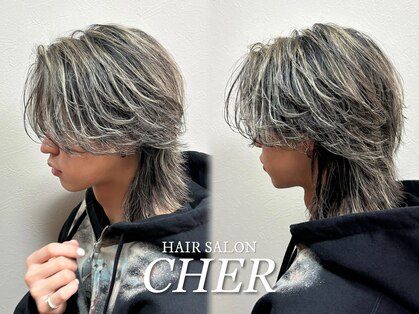 シェール(CHER)の写真