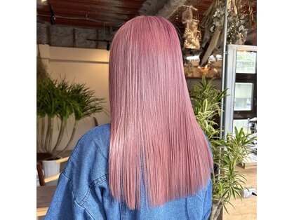 ベルボワ(Belle bois)の写真