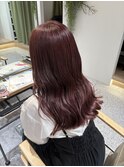 ピンクラベンダー