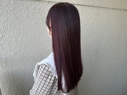 フォーリア(foglia)の写真