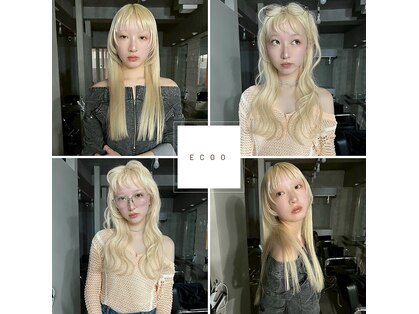 エクー(ECOO)の写真