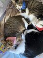 レム 綱島店(REM)&nbsp;猫が好きで3匹飼っています♭
