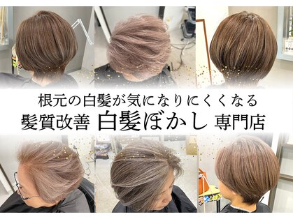 ソーコ(SO－CO)の写真