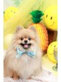 ディ シェーレ 磯子本店(die schere) 愛犬とお散歩したり、色んな場所へお出かけするのが好きです。