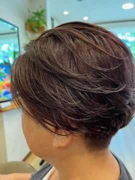 スリーク ツーセクション