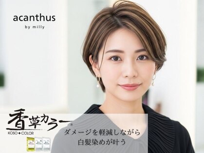 アカンサス バイ ミリー 高槻店(acanthus by milly)の写真