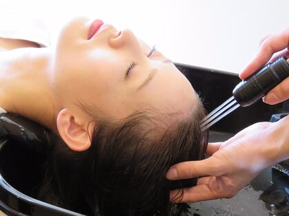 スアビス(Suavis)の写真